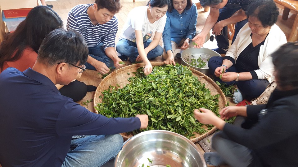 제주도 떡차 체험현장